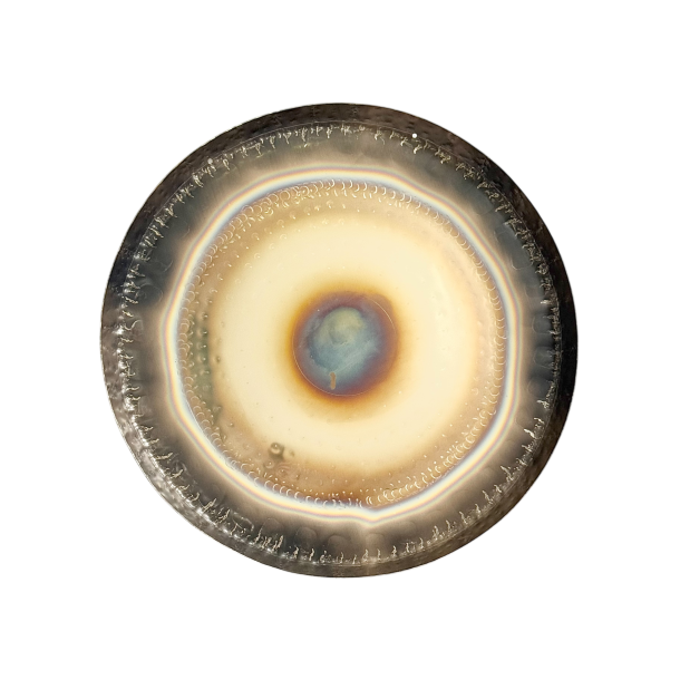 Auris Plantetgong Shiron - 32 tommer