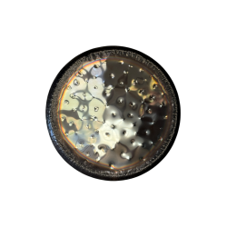 Auris Soundcration Gong - Earth 32 "