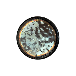 Auris Soundcration Gong - Earth 32 "