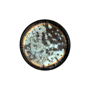 Auris Soundcration Gong - Earth 32 