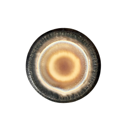 Auris Symfonisk Gong  