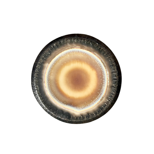 Auris Symfonisk Gong  