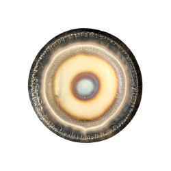 Auris Plantetgong Solen - 36 tommer