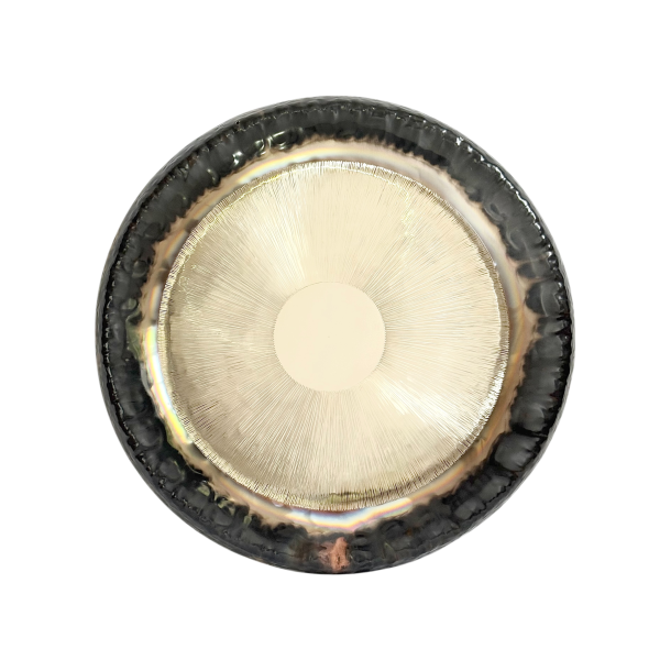 Auris Symfonisk Gong  