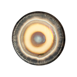 Auris Symfonisk Gong  