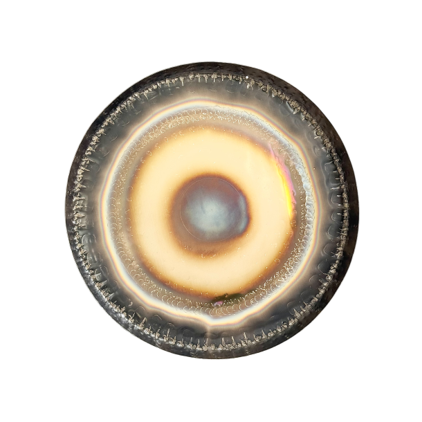 Auris Symfonisk Gong  