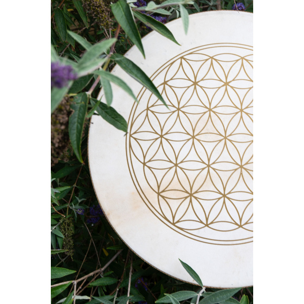 Flower of life wavedrum 18�