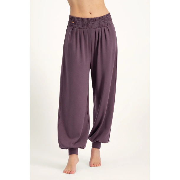Jaya Yoga Harem Pants - Berry